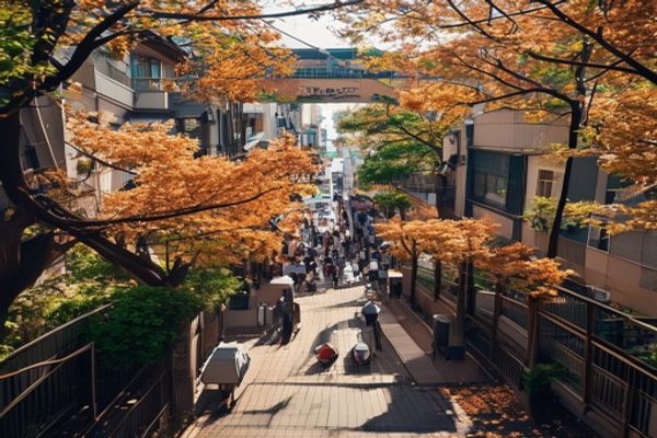 秋叶原旅行必看攻略：动漫天堂的血拼与美食指南